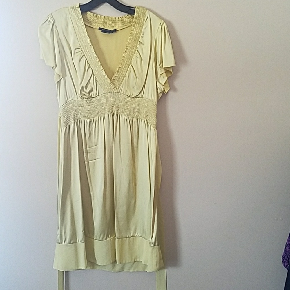 Silky BCBG Dress